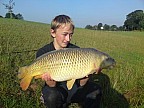 p53.jpg