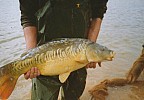 p58.jpg